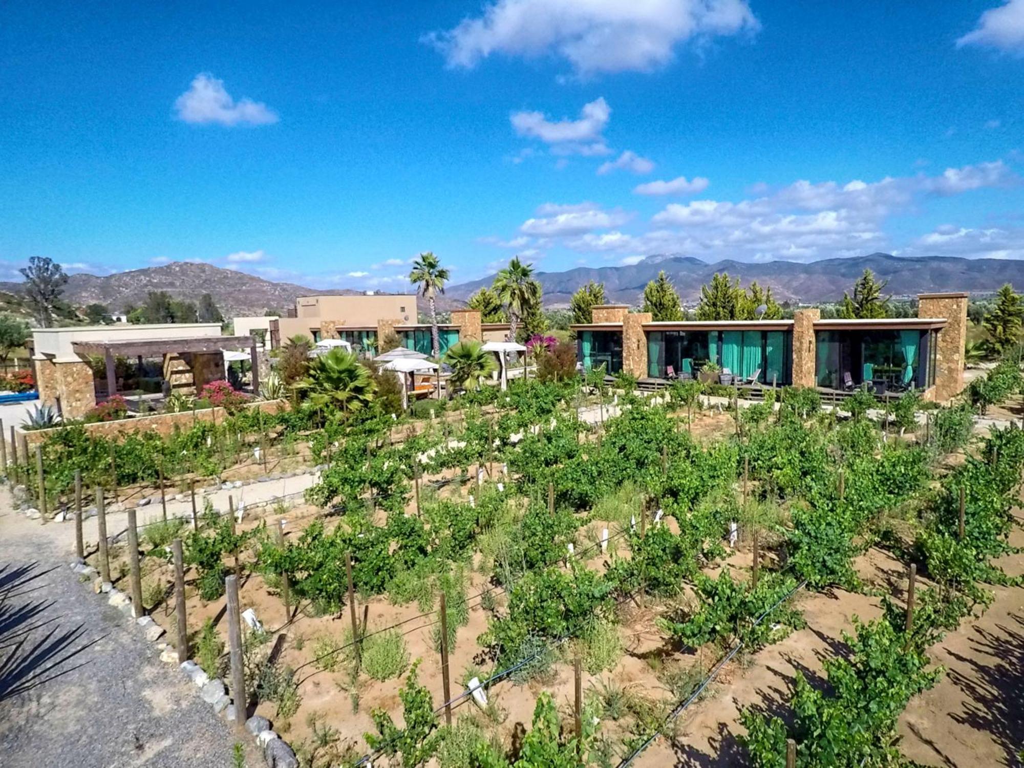 Entre Vinedos By Hotel Boutique Valle De Guadalupe Exterior photo
